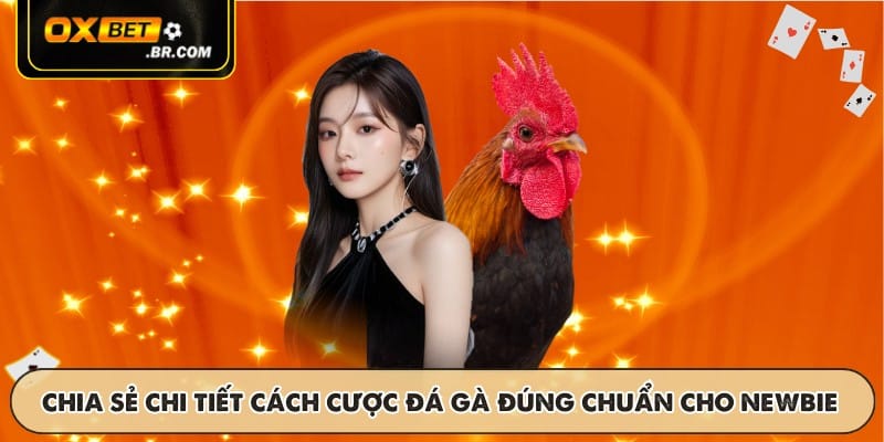 Chia sẻ chi tiết cách cược đá gà đúng chuẩn cho newbie