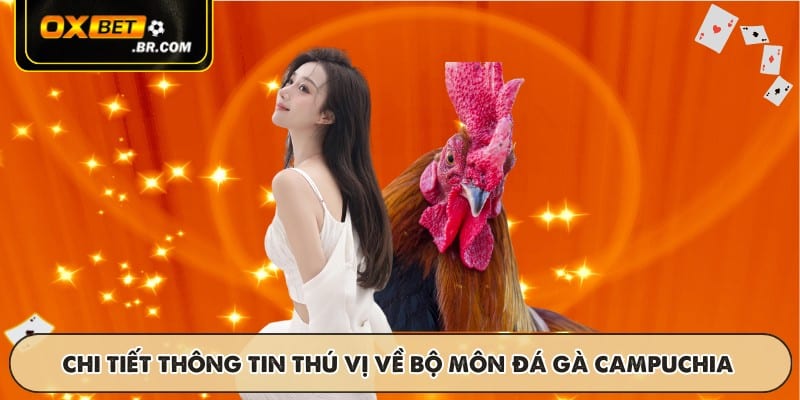 Tìm hiểu chi tiết thông tin thú vị về bộ môn đá gà Campuchia