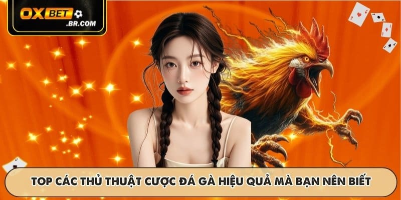 TOP các thủ thuật cược đá gà hiệu quả mà bạn nên biết